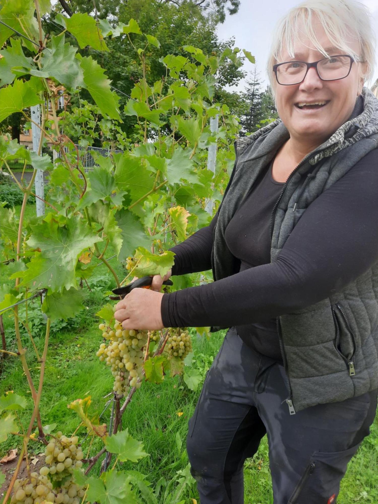 Ferienwohnung Weingut Lahmer August Kretzschau Extérieur photo